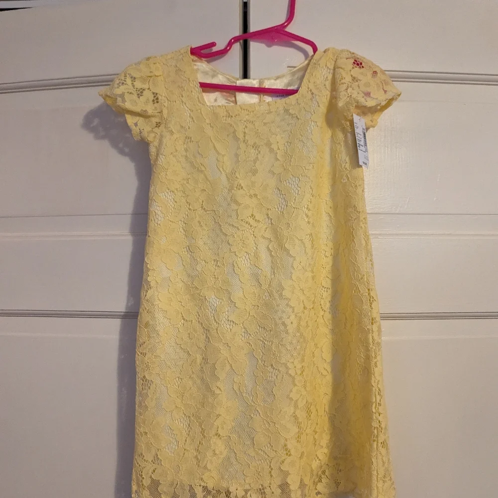 Children's Place Lace Toddler Girl Dress NWT